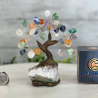 Mixed Gems 5" Tall Handmade Gemstone Tree on a Crystal base, 35 Gems #5401MIXD - Brazil GemsBrazil GemsMixed Gems 5" Tall Handmade Gemstone Tree on a Crystal base, 35 Gems #5401MIXDGemstone Trees5401MIXD