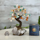 Mixed Gems 7" Tall Handmade Gemstone Tree on a Crystal base, 60 Gems #5402MIXD - Brazil GemsBrazil GemsMixed Gems 7" Tall Handmade Gemstone Tree on a Crystal base, 60 Gems #5402MIXDGemstone Trees5402MIXD