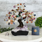 Mixed Gems 9" Tall Handmade Gemstone Tree on a Crystal base, 120 Gems #5403MIXD - Brazil GemsBrazil GemsMixed Gems 9" Tall Handmade Gemstone Tree on a Crystal base, 120 Gems #5403MIXDGemstone Trees5403MIXD