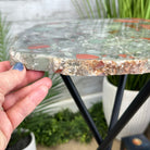 Natural Bloodstone Jasper Side Table on Black Metal Base, 24.6" Tall #1342BS-002 - Brazil GemsBrazil GemsNatural Bloodstone Jasper Side Table on Black Metal Base, 24.6" Tall #1342BS-002Tables: Side1342BS-002