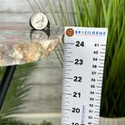 Natural Bloodstone Jasper Side Table on Black Metal Base, 24.6" Tall #1342BS-002 - Brazil GemsBrazil GemsNatural Bloodstone Jasper Side Table on Black Metal Base, 24.6" Tall #1342BS-002Tables: Side1342BS-002