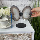 Natural Brazilian Agate "Butterfly" Slices, 8.3" Tall #5050NA-039 by Brazil Gems - Brazil GemsBrazil GemsNatural Brazilian Agate "Butterfly" Slices, 8.3" Tall #5050NA-039 by Brazil GemsAgate Butterfly Wings5050NA-039