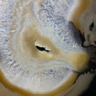 Natural Brazilian Agate "Butterfly" Slices, 8.3" Tall #5050NA-039 by Brazil Gems - Brazil GemsBrazil GemsNatural Brazilian Agate "Butterfly" Slices, 8.3" Tall #5050NA-039 by Brazil GemsAgate Butterfly Wings5050NA-039