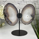 Natural Brazilian Agate "Butterfly" Slices, 8.3" Tall #5050NA-039 by Brazil Gems - Brazil GemsBrazil GemsNatural Brazilian Agate "Butterfly" Slices, 8.3" Tall #5050NA-039 by Brazil GemsAgate Butterfly Wings5050NA-039