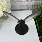 Natural Brazilian Agate "Butterfly" Slices, 8.3" Tall #5050NA-039 by Brazil Gems - Brazil GemsBrazil GemsNatural Brazilian Agate "Butterfly" Slices, 8.3" Tall #5050NA-039 by Brazil GemsAgate Butterfly Wings5050NA-039