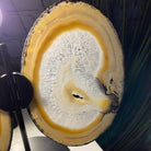 Natural Brazilian Agate "Butterfly" Slices, 8.3" Tall #5050NA-039 by Brazil Gems - Brazil GemsBrazil GemsNatural Brazilian Agate "Butterfly" Slices, 8.3" Tall #5050NA-039 by Brazil GemsAgate Butterfly Wings5050NA-039