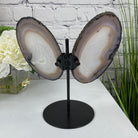 Natural Brazilian Agate "Butterfly" Slices, 8.3" Tall #5050NA-039 by Brazil Gems - Brazil GemsBrazil GemsNatural Brazilian Agate "Butterfly" Slices, 8.3" Tall #5050NA-039 by Brazil GemsAgate Butterfly Wings5050NA-039