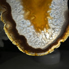 Natural Brazilian Agate "Butterfly Wings", 10.1" Tall #5050NA-121 - Brazil GemsBrazil GemsNatural Brazilian Agate "Butterfly Wings", 10.1" Tall #5050NA-121Agate Butterfly Wings5050NA-121