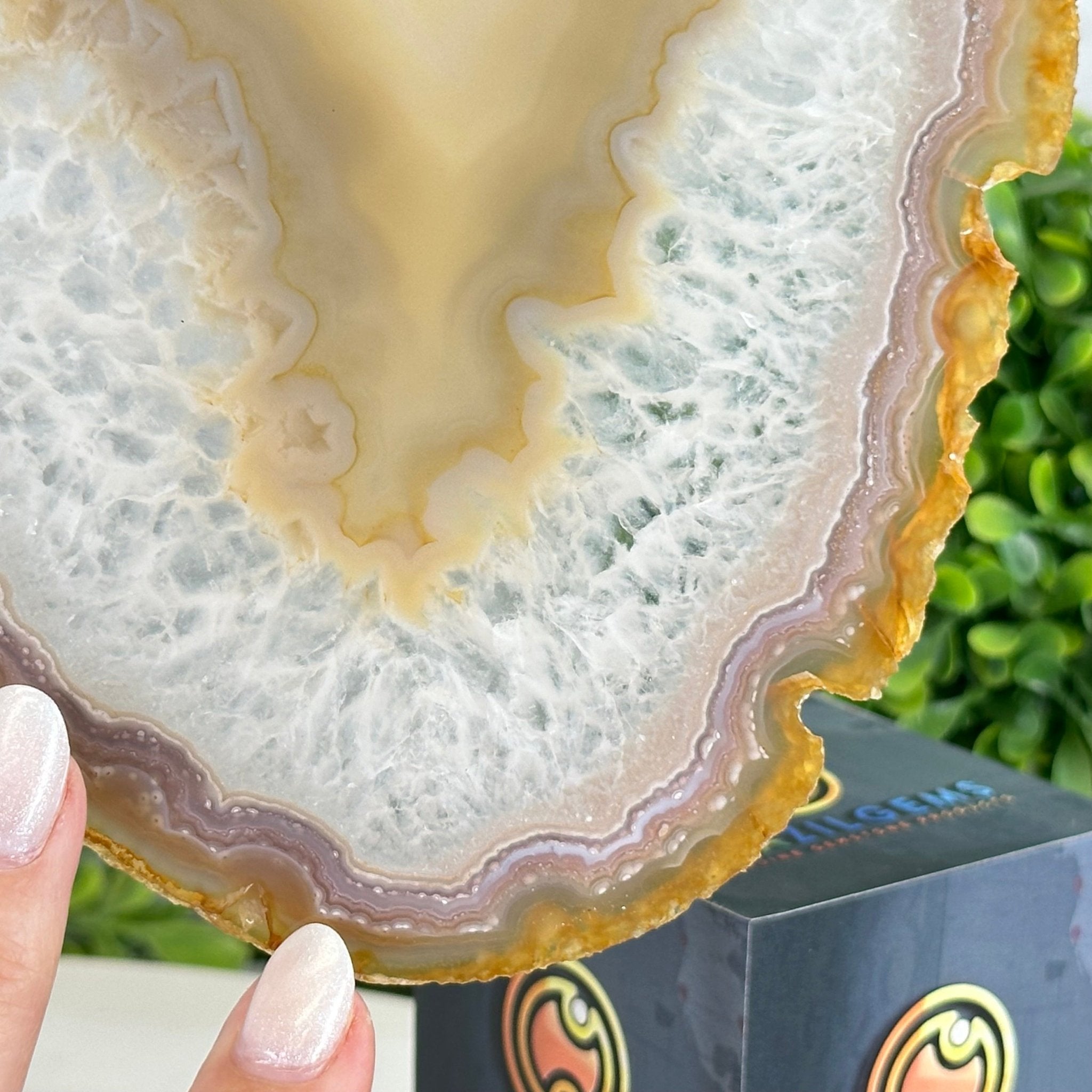 Natural Brazilian Agate "Butterfly Wings", 10.1" Tall #5050NA-121 - Brazil GemsBrazil GemsNatural Brazilian Agate "Butterfly Wings", 10.1" Tall #5050NA-121Agate Butterfly Wings5050NA-121