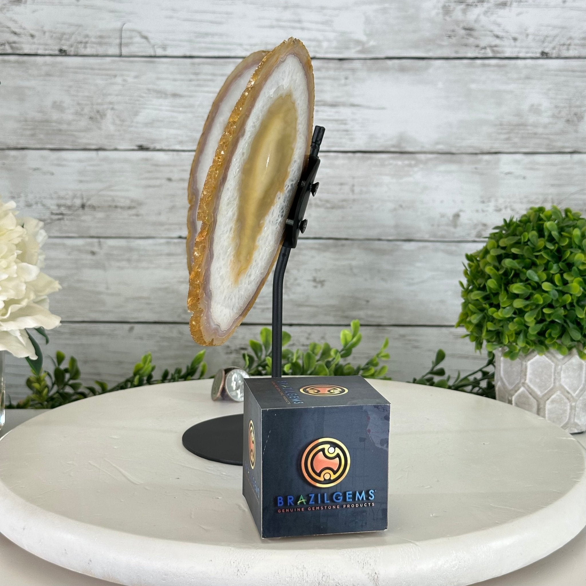 Natural Brazilian Agate "Butterfly Wings", 10.1" Tall #5050NA-121 - Brazil GemsBrazil GemsNatural Brazilian Agate "Butterfly Wings", 10.1" Tall #5050NA-121Agate Butterfly Wings5050NA-121