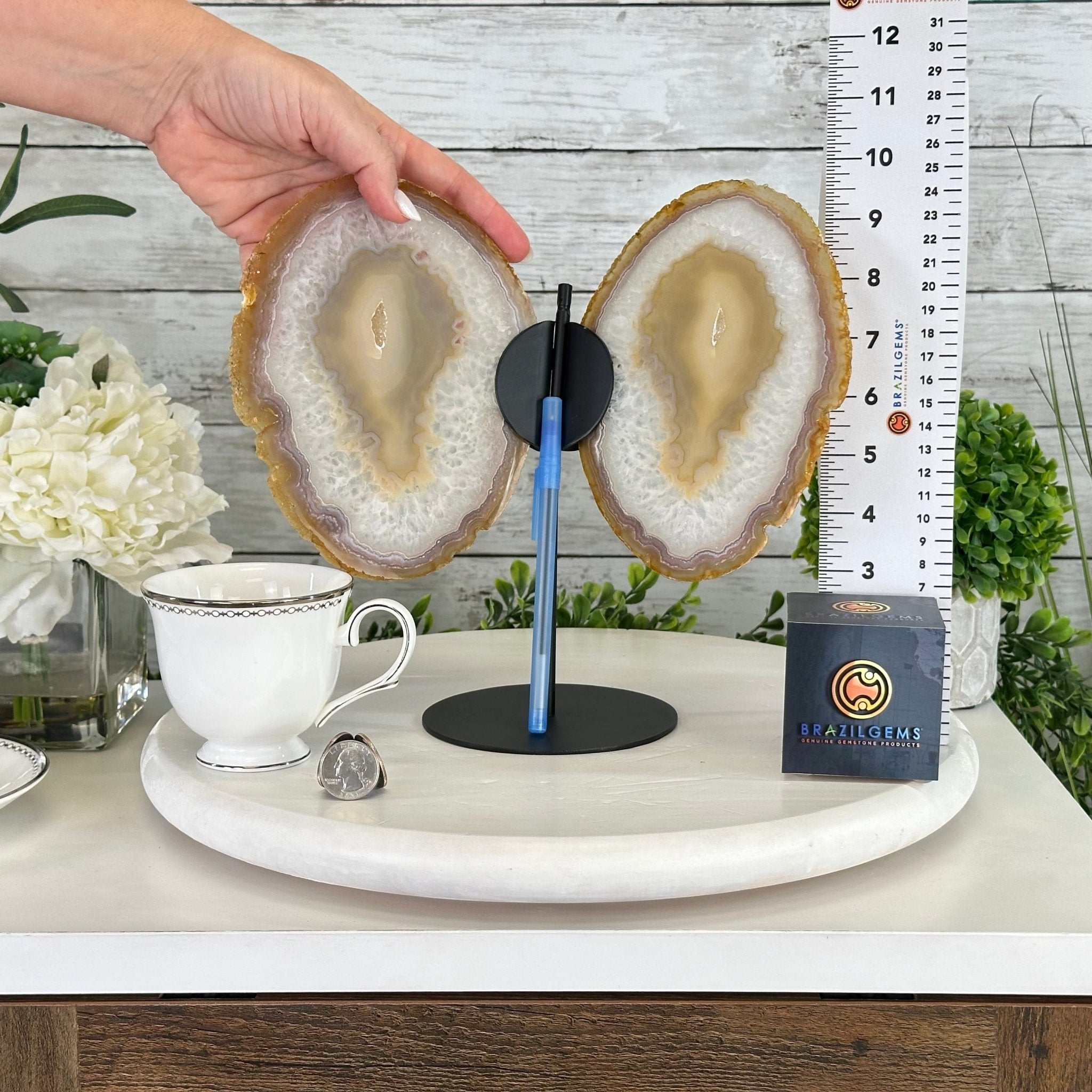 Natural Brazilian Agate "Butterfly Wings", 10.1" Tall #5050NA-121 - Brazil GemsBrazil GemsNatural Brazilian Agate "Butterfly Wings", 10.1" Tall #5050NA-121Agate Butterfly Wings5050NA-121