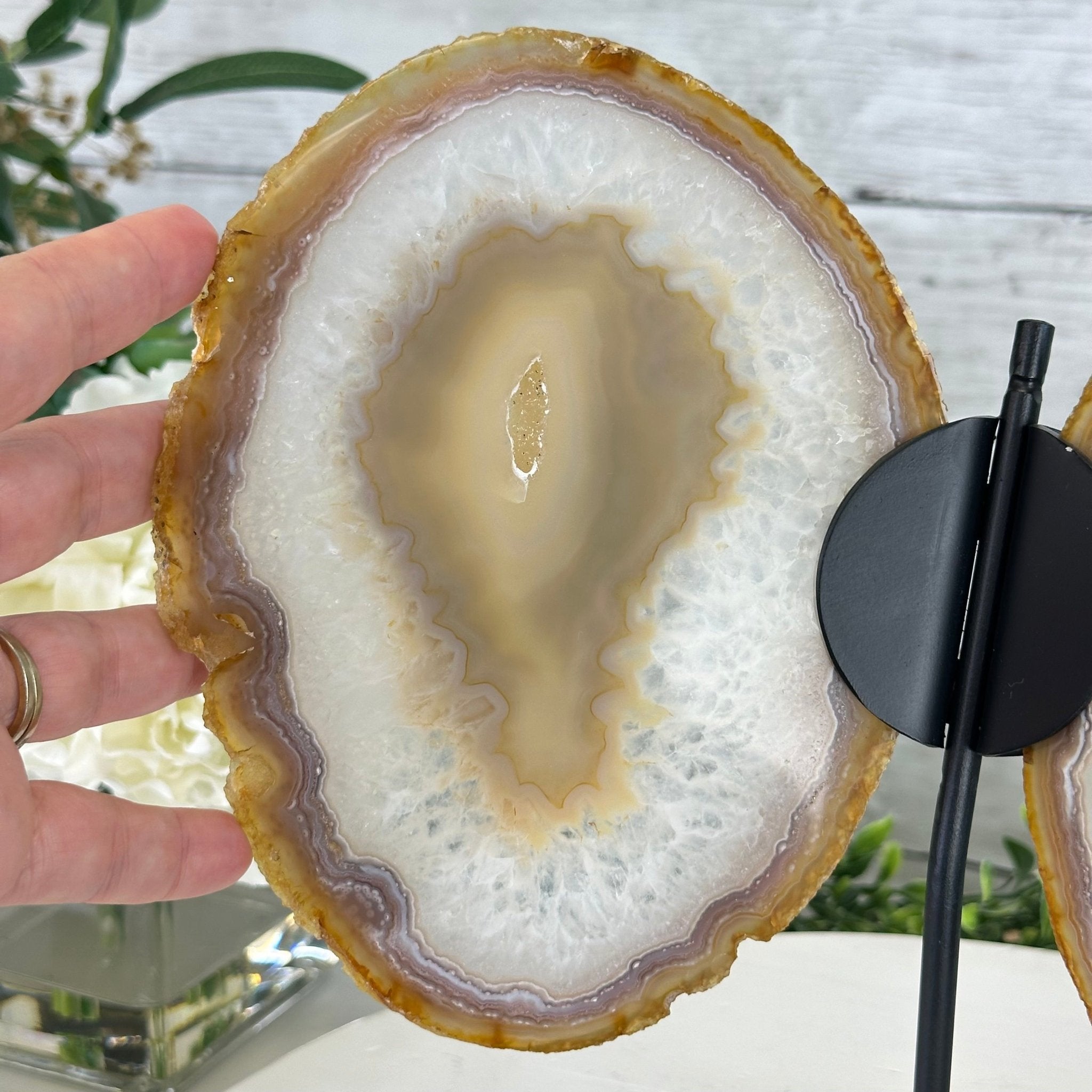 Natural Brazilian Agate "Butterfly Wings", 10.1" Tall #5050NA-121 - Brazil GemsBrazil GemsNatural Brazilian Agate "Butterfly Wings", 10.1" Tall #5050NA-121Agate Butterfly Wings5050NA-121