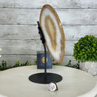 Natural Brazilian Agate "Butterfly Wings", 10.1" Tall #5050NA-121 - Brazil GemsBrazil GemsNatural Brazilian Agate "Butterfly Wings", 10.1" Tall #5050NA-121Agate Butterfly Wings5050NA-121