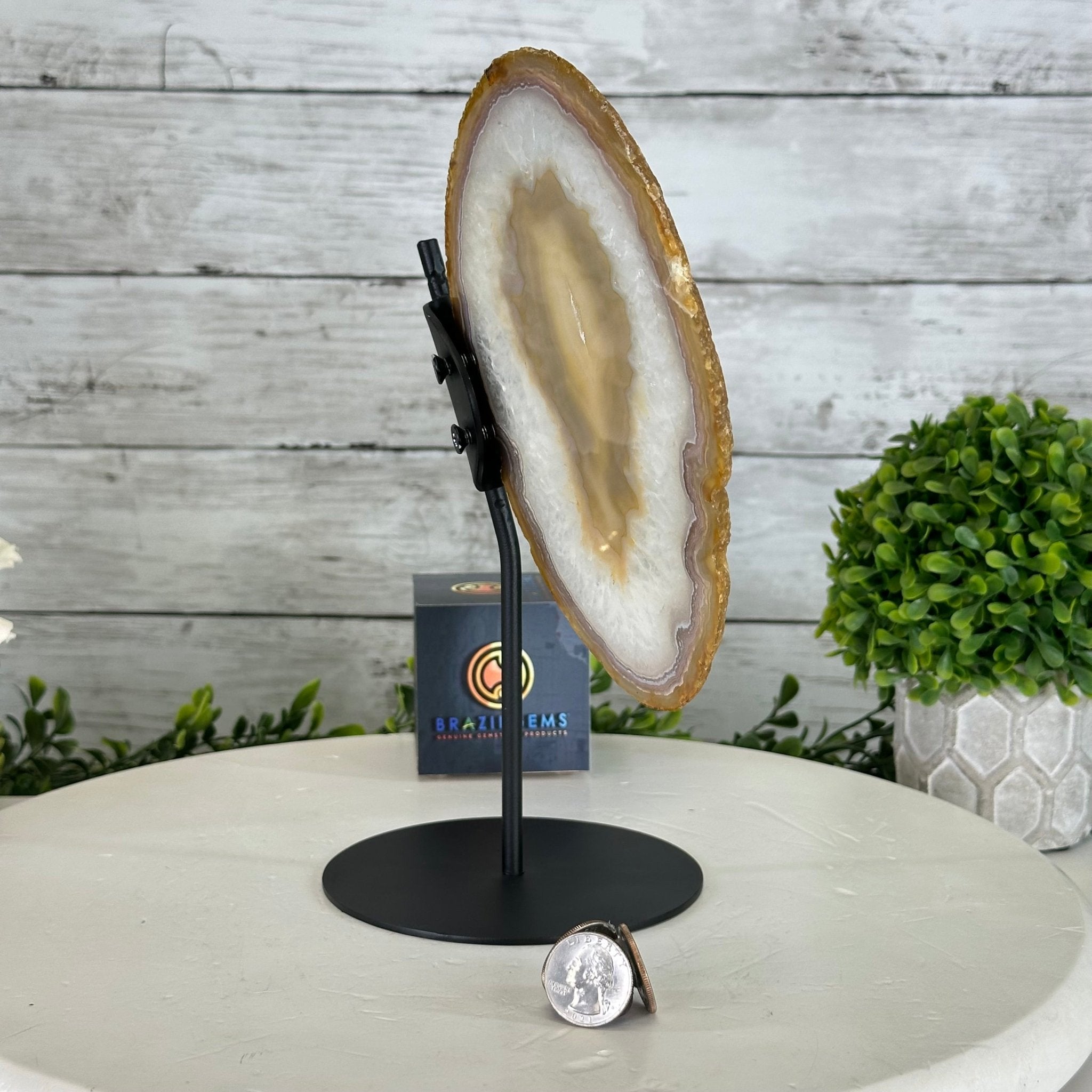 Natural Brazilian Agate "Butterfly Wings", 10.1" Tall #5050NA-121 - Brazil GemsBrazil GemsNatural Brazilian Agate "Butterfly Wings", 10.1" Tall #5050NA-121Agate Butterfly Wings5050NA-121