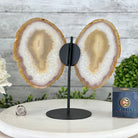 Natural Brazilian Agate "Butterfly Wings", 10.1" Tall #5050NA-121 - Brazil GemsBrazil GemsNatural Brazilian Agate "Butterfly Wings", 10.1" Tall #5050NA-121Agate Butterfly Wings5050NA-121