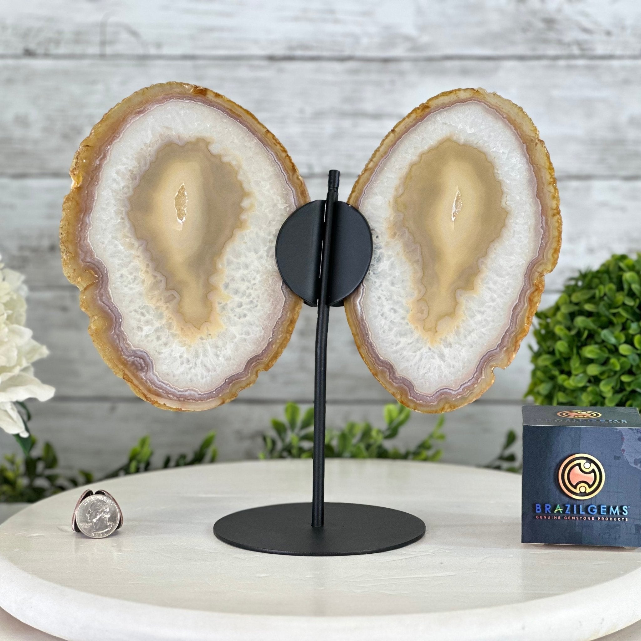 Natural Brazilian Agate "Butterfly Wings", 10.1" Tall #5050NA-121 - Brazil GemsBrazil GemsNatural Brazilian Agate "Butterfly Wings", 10.1" Tall #5050NA-121Agate Butterfly Wings5050NA-121