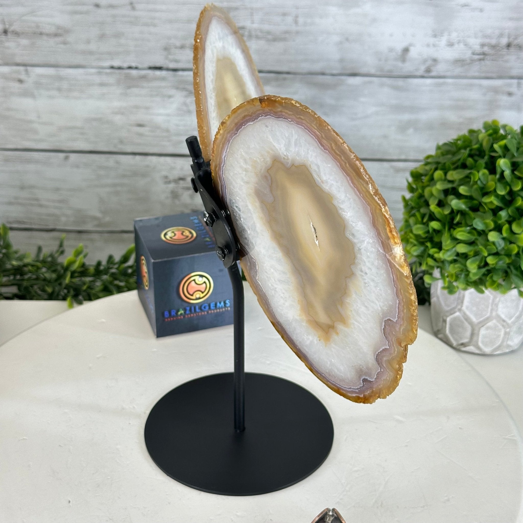 Natural Brazilian Agate "Butterfly Wings", 10.1" Tall #5050NA-121 - Brazil GemsBrazil GemsNatural Brazilian Agate "Butterfly Wings", 10.1" Tall #5050NA-121Agate Butterfly Wings5050NA-121