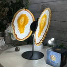 Natural Brazilian Agate "Butterfly Wings", 10.1" Tall #5050NA-121 - Brazil GemsBrazil GemsNatural Brazilian Agate "Butterfly Wings", 10.1" Tall #5050NA-121Agate Butterfly Wings5050NA-121