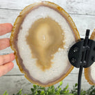 Natural Brazilian Agate "Butterfly Wings", 10.1" Tall #5050NA-121 - Brazil GemsBrazil GemsNatural Brazilian Agate "Butterfly Wings", 10.1" Tall #5050NA-121Agate Butterfly Wings5050NA-121