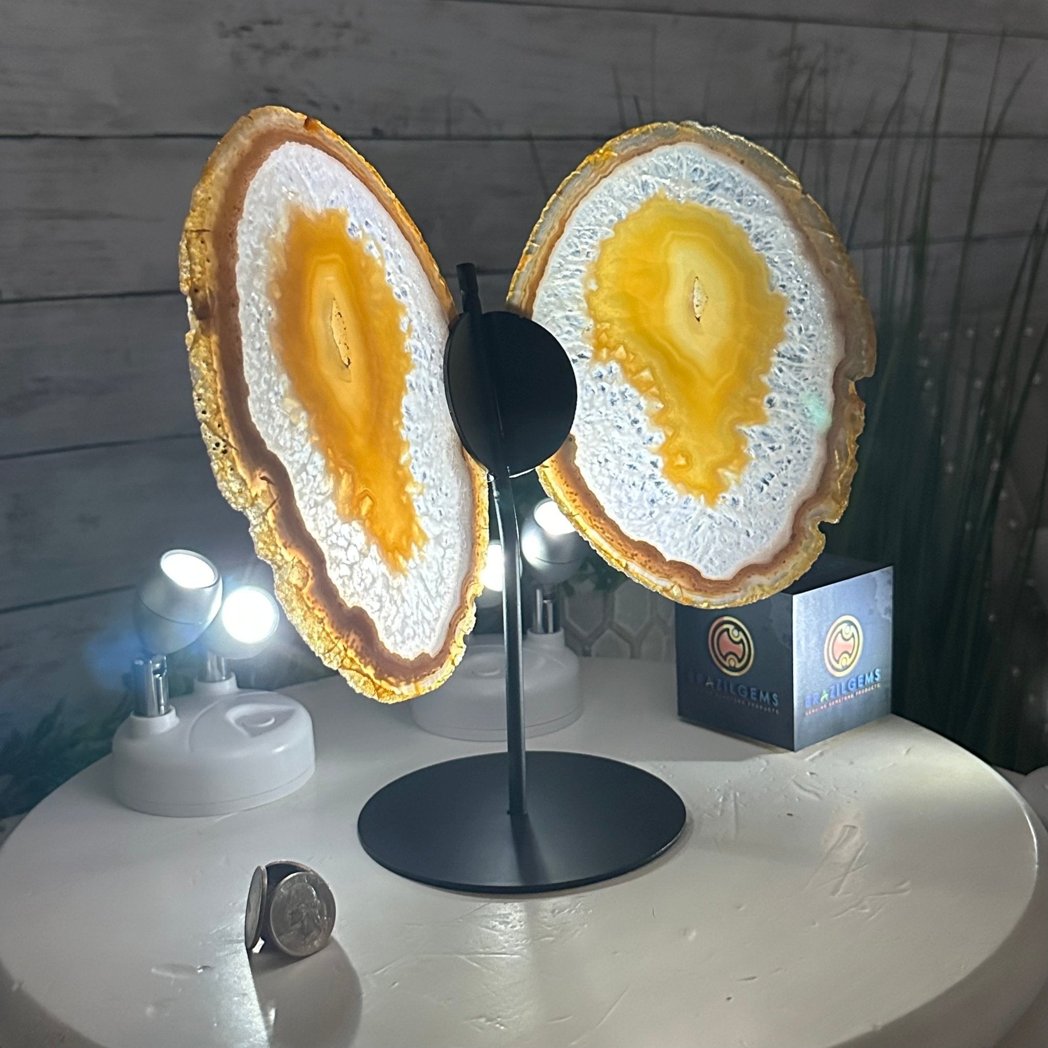 Natural Brazilian Agate "Butterfly Wings", 10.1" Tall #5050NA-121 - Brazil GemsBrazil GemsNatural Brazilian Agate "Butterfly Wings", 10.1" Tall #5050NA-121Agate Butterfly Wings5050NA-121