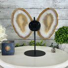 Natural Brazilian Agate "Butterfly Wings", 10.1" Tall #5050NA-121 - Brazil GemsBrazil GemsNatural Brazilian Agate "Butterfly Wings", 10.1" Tall #5050NA-121Agate Butterfly Wings5050NA-121