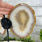 Natural Brazilian Agate "Butterfly Wings", 10.1" Tall #5050NA-121 - Brazil GemsBrazil GemsNatural Brazilian Agate "Butterfly Wings", 10.1" Tall #5050NA-121Agate Butterfly Wings5050NA-121