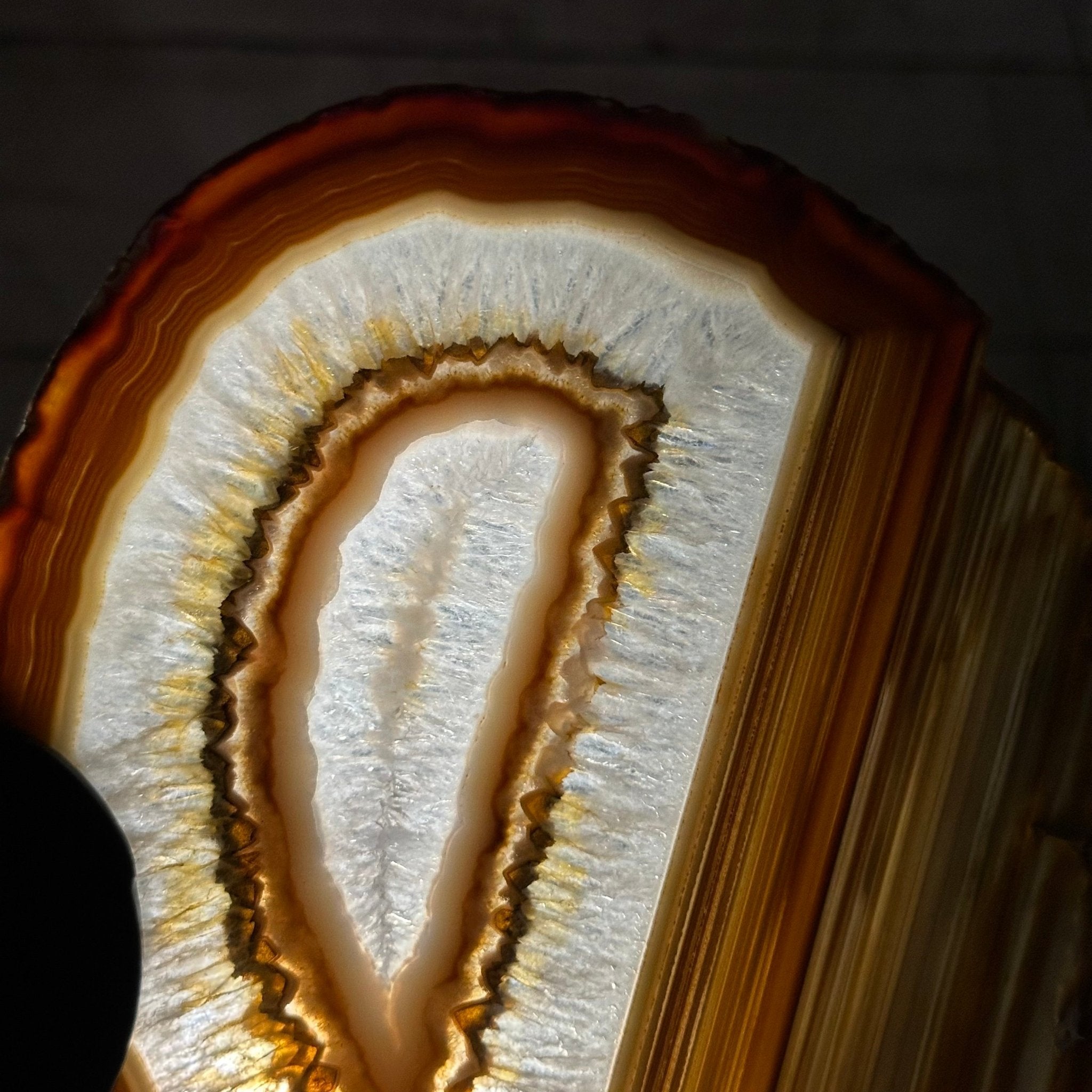 Natural Brazilian Agate "Butterfly Wings", 10.1" Tall #5050NA-130 - Brazil GemsBrazil GemsNatural Brazilian Agate "Butterfly Wings", 10.1" Tall #5050NA-130Agate Butterfly Wings5050NA-130