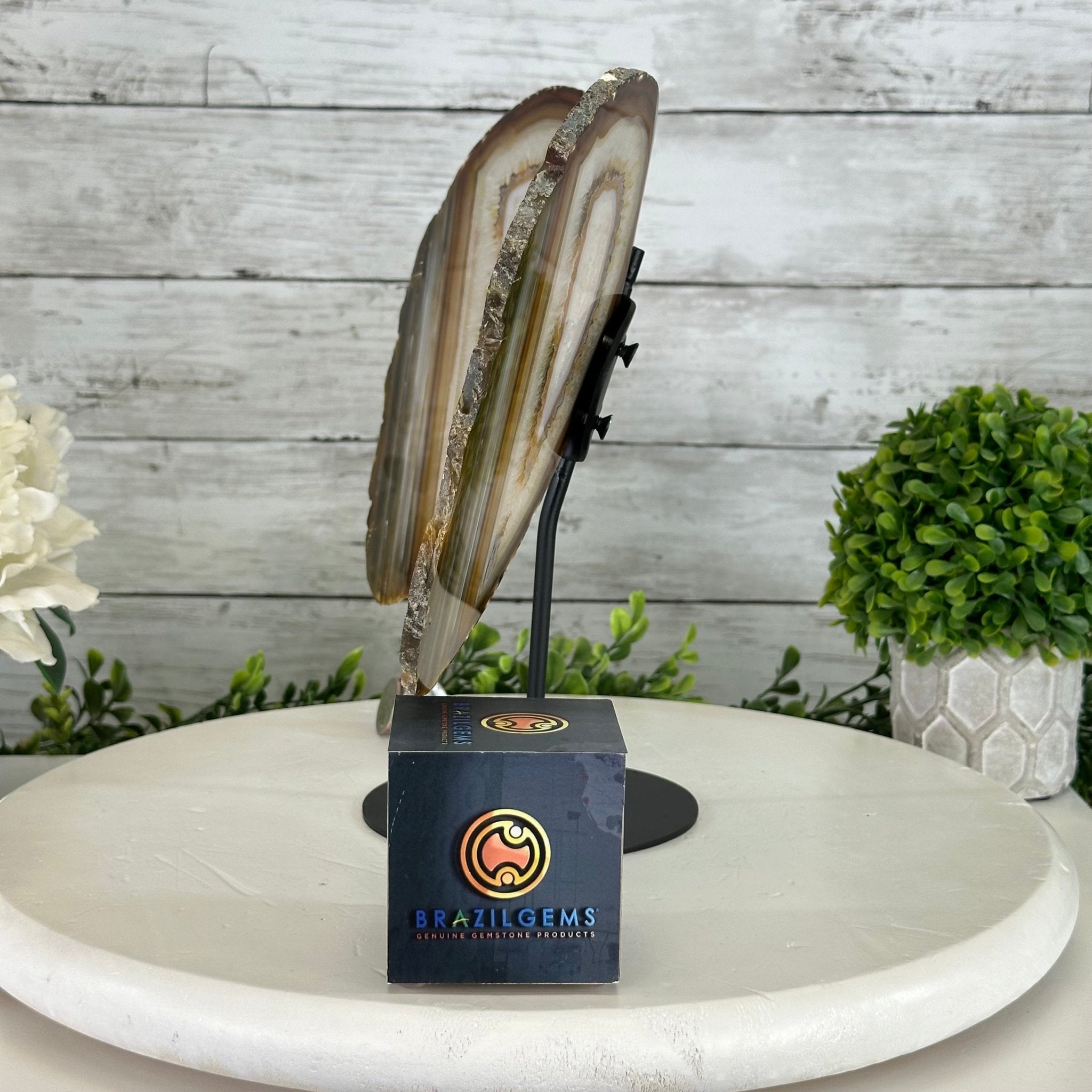 Natural Brazilian Agate "Butterfly Wings", 10.1" Tall #5050NA-130 - Brazil GemsBrazil GemsNatural Brazilian Agate "Butterfly Wings", 10.1" Tall #5050NA-130Agate Butterfly Wings5050NA-130