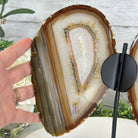 Natural Brazilian Agate "Butterfly Wings", 10.1" Tall #5050NA-130 - Brazil GemsBrazil GemsNatural Brazilian Agate "Butterfly Wings", 10.1" Tall #5050NA-130Agate Butterfly Wings5050NA-130