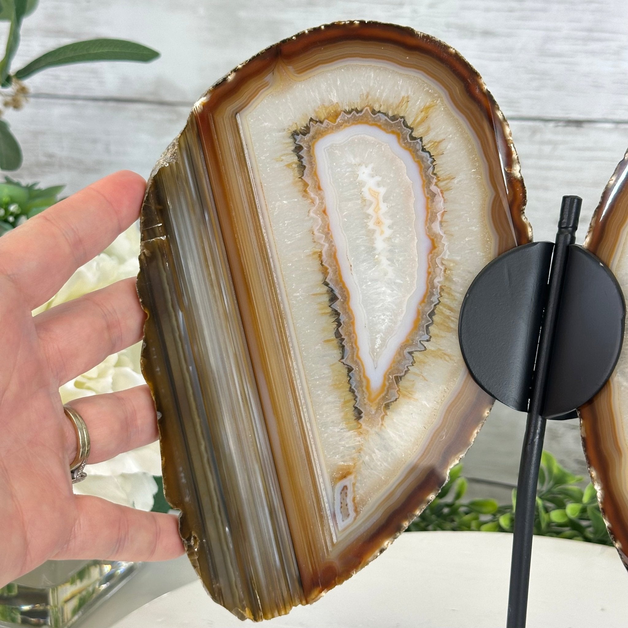 Natural Brazilian Agate "Butterfly Wings", 10.1" Tall #5050NA-130 - Brazil GemsBrazil GemsNatural Brazilian Agate "Butterfly Wings", 10.1" Tall #5050NA-130Agate Butterfly Wings5050NA-130