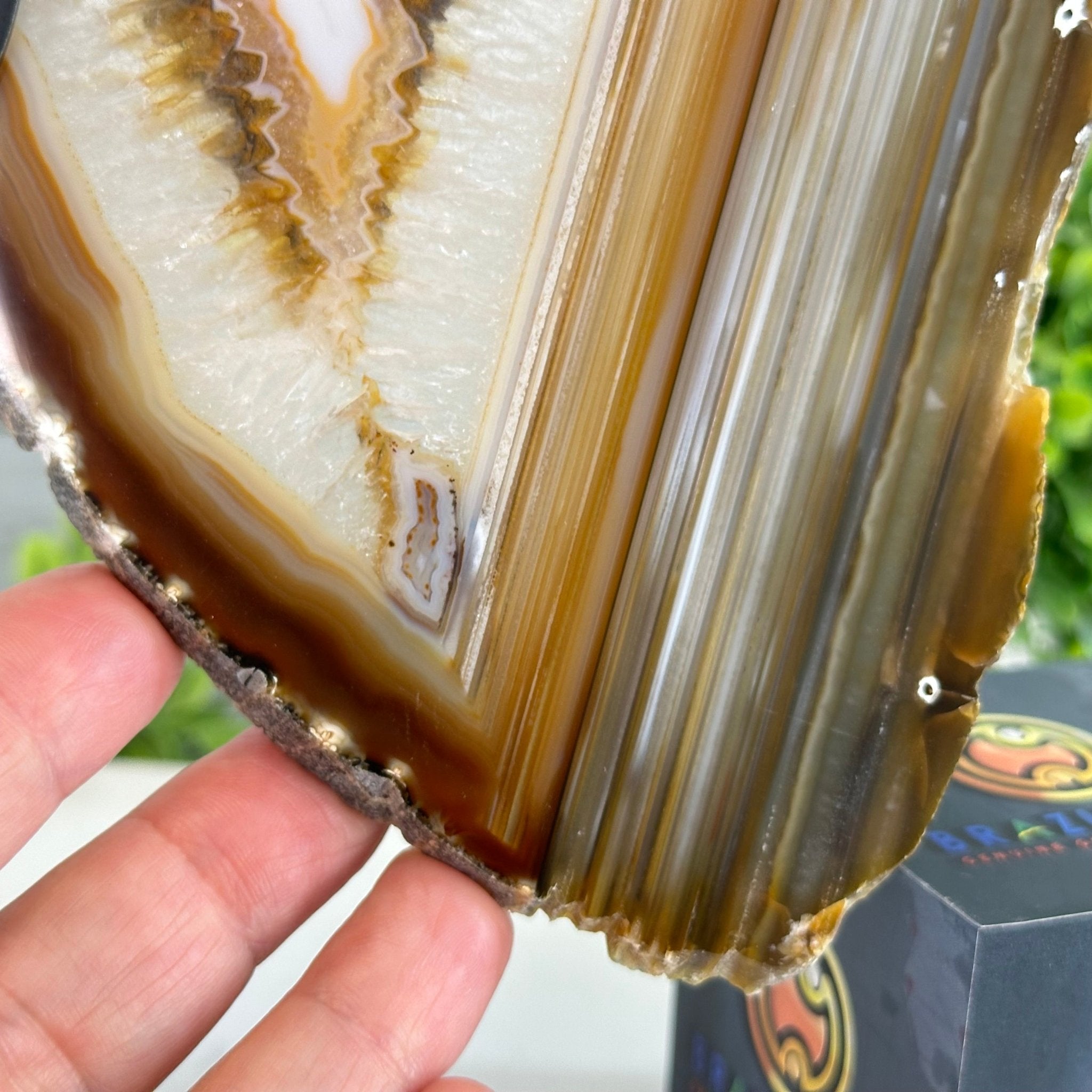 Natural Brazilian Agate "Butterfly Wings", 10.1" Tall #5050NA-130 - Brazil GemsBrazil GemsNatural Brazilian Agate "Butterfly Wings", 10.1" Tall #5050NA-130Agate Butterfly Wings5050NA-130