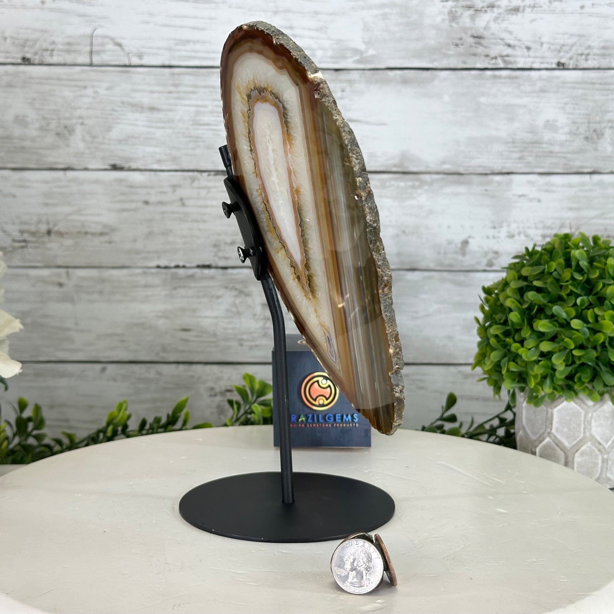 Natural Brazilian Agate "Butterfly Wings", 10.1" Tall #5050NA-130 - Brazil GemsBrazil GemsNatural Brazilian Agate "Butterfly Wings", 10.1" Tall #5050NA-130Agate Butterfly Wings5050NA-130