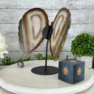 Natural Brazilian Agate "Butterfly Wings", 10.1" Tall #5050NA-130 - Brazil GemsBrazil GemsNatural Brazilian Agate "Butterfly Wings", 10.1" Tall #5050NA-130Agate Butterfly Wings5050NA-130