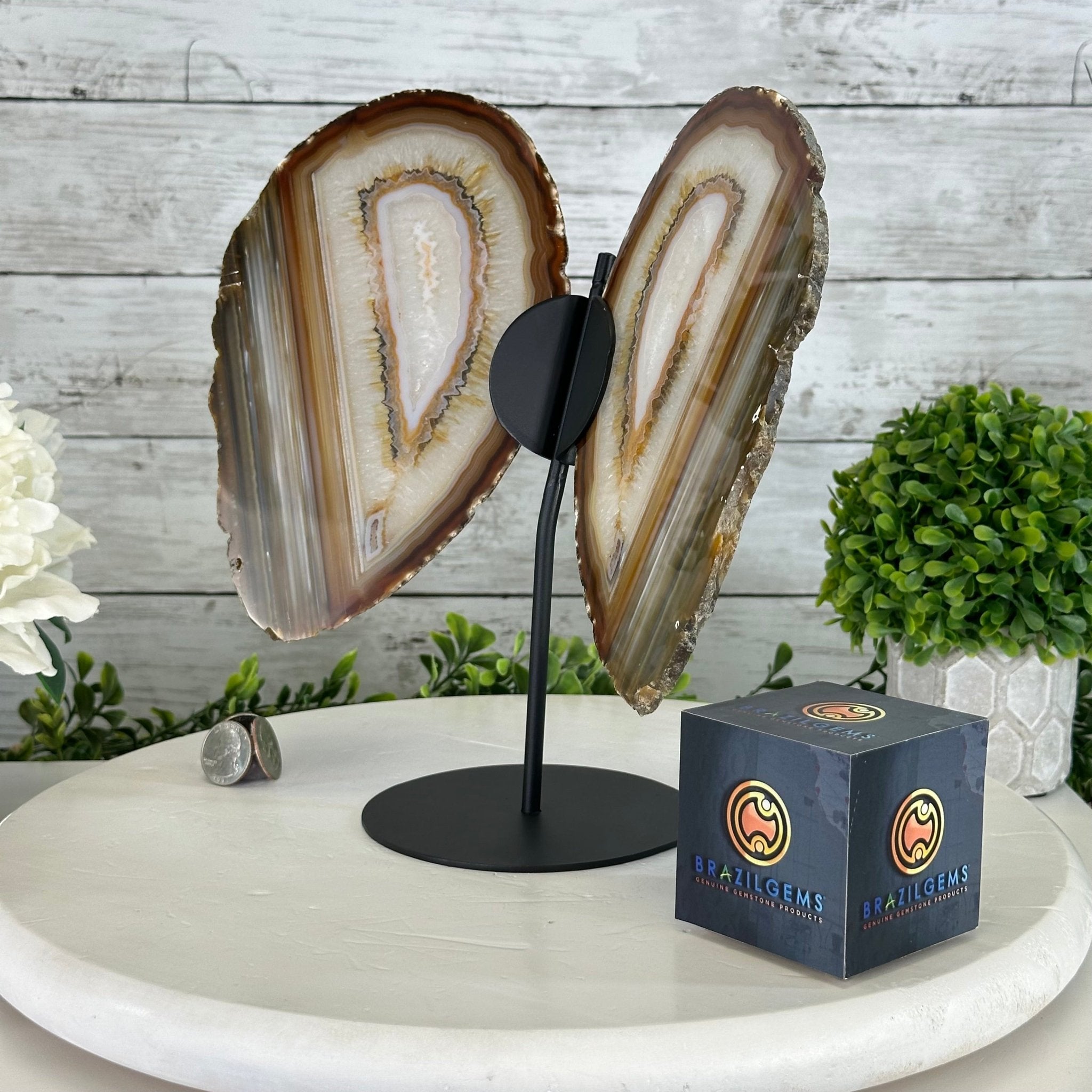 Natural Brazilian Agate "Butterfly Wings", 10.1" Tall #5050NA-130 - Brazil GemsBrazil GemsNatural Brazilian Agate "Butterfly Wings", 10.1" Tall #5050NA-130Agate Butterfly Wings5050NA-130