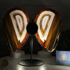 Natural Brazilian Agate "Butterfly Wings", 10.1" Tall #5050NA-130 - Brazil GemsBrazil GemsNatural Brazilian Agate "Butterfly Wings", 10.1" Tall #5050NA-130Agate Butterfly Wings5050NA-130