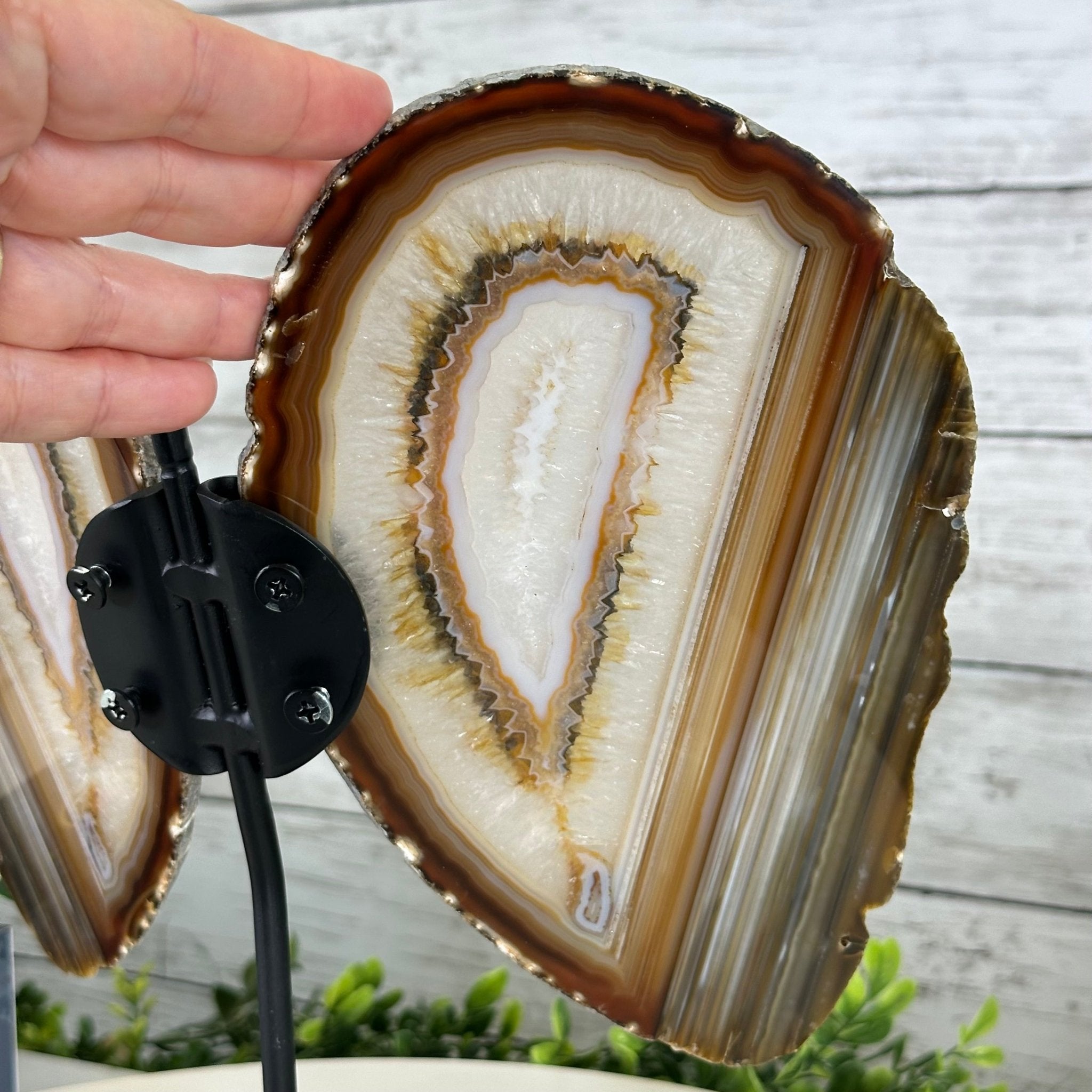 Natural Brazilian Agate "Butterfly Wings", 10.1" Tall #5050NA-130 - Brazil GemsBrazil GemsNatural Brazilian Agate "Butterfly Wings", 10.1" Tall #5050NA-130Agate Butterfly Wings5050NA-130