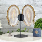 Natural Brazilian Agate "Butterfly Wings", 10.4" Tall #5050NA-118 - Brazil GemsBrazil GemsNatural Brazilian Agate "Butterfly Wings", 10.4" Tall #5050NA-118Agate Butterfly Wings5050NA-118