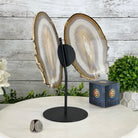 Natural Brazilian Agate "Butterfly Wings", 10.4" Tall #5050NA-118 - Brazil GemsBrazil GemsNatural Brazilian Agate "Butterfly Wings", 10.4" Tall #5050NA-118Agate Butterfly Wings5050NA-118