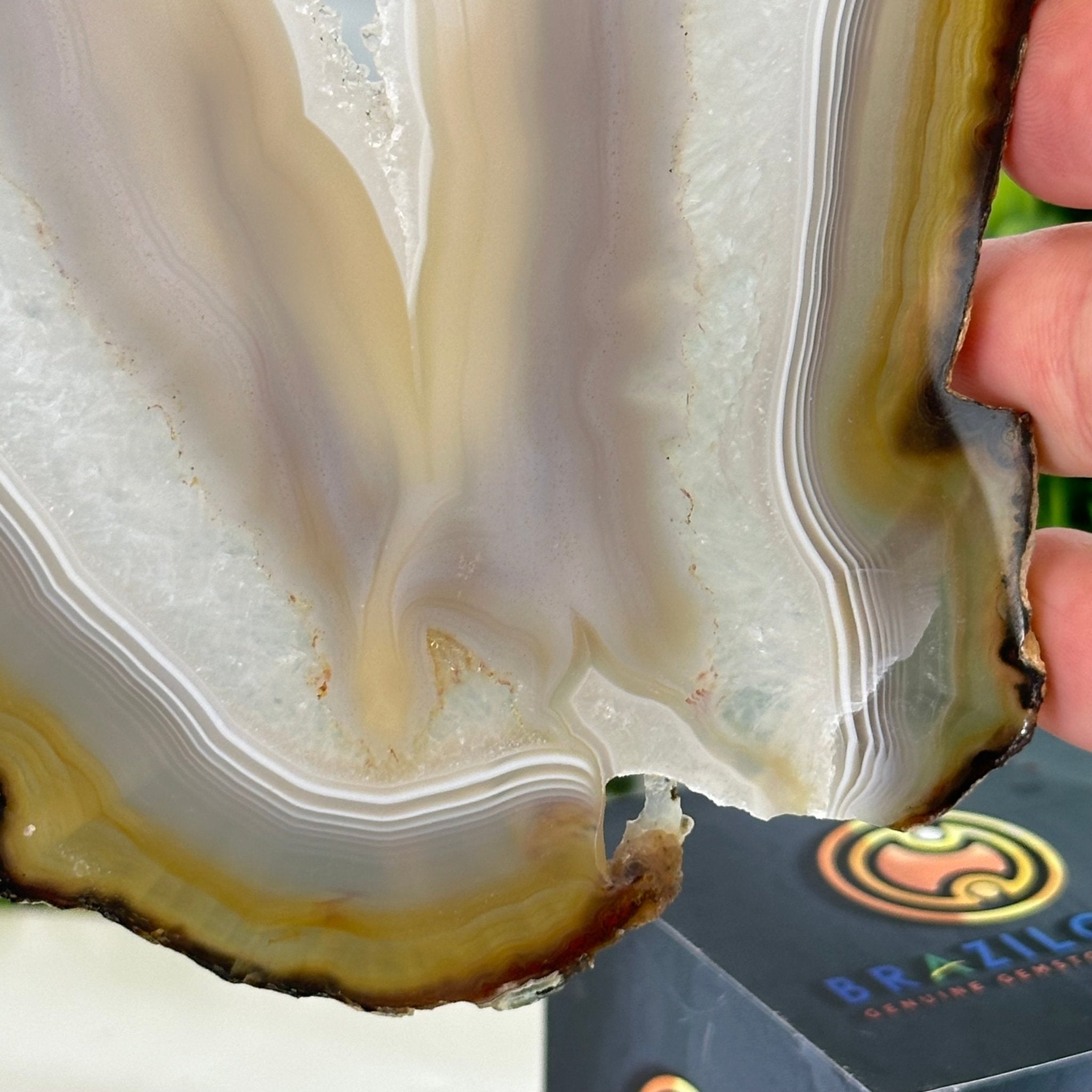 Natural Brazilian Agate "Butterfly Wings", 10.4" Tall #5050NA-118 - Brazil GemsBrazil GemsNatural Brazilian Agate "Butterfly Wings", 10.4" Tall #5050NA-118Agate Butterfly Wings5050NA-118