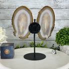 Natural Brazilian Agate "Butterfly Wings", 10.4" Tall #5050NA-118 - Brazil GemsBrazil GemsNatural Brazilian Agate "Butterfly Wings", 10.4" Tall #5050NA-118Agate Butterfly Wings5050NA-118