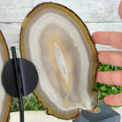 Natural Brazilian Agate "Butterfly Wings", 10.4" Tall #5050NA-118 - Brazil GemsBrazil GemsNatural Brazilian Agate "Butterfly Wings", 10.4" Tall #5050NA-118Agate Butterfly Wings5050NA-118