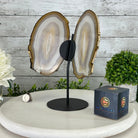 Natural Brazilian Agate "Butterfly Wings", 10.4" Tall #5050NA-118 - Brazil GemsBrazil GemsNatural Brazilian Agate "Butterfly Wings", 10.4" Tall #5050NA-118Agate Butterfly Wings5050NA-118