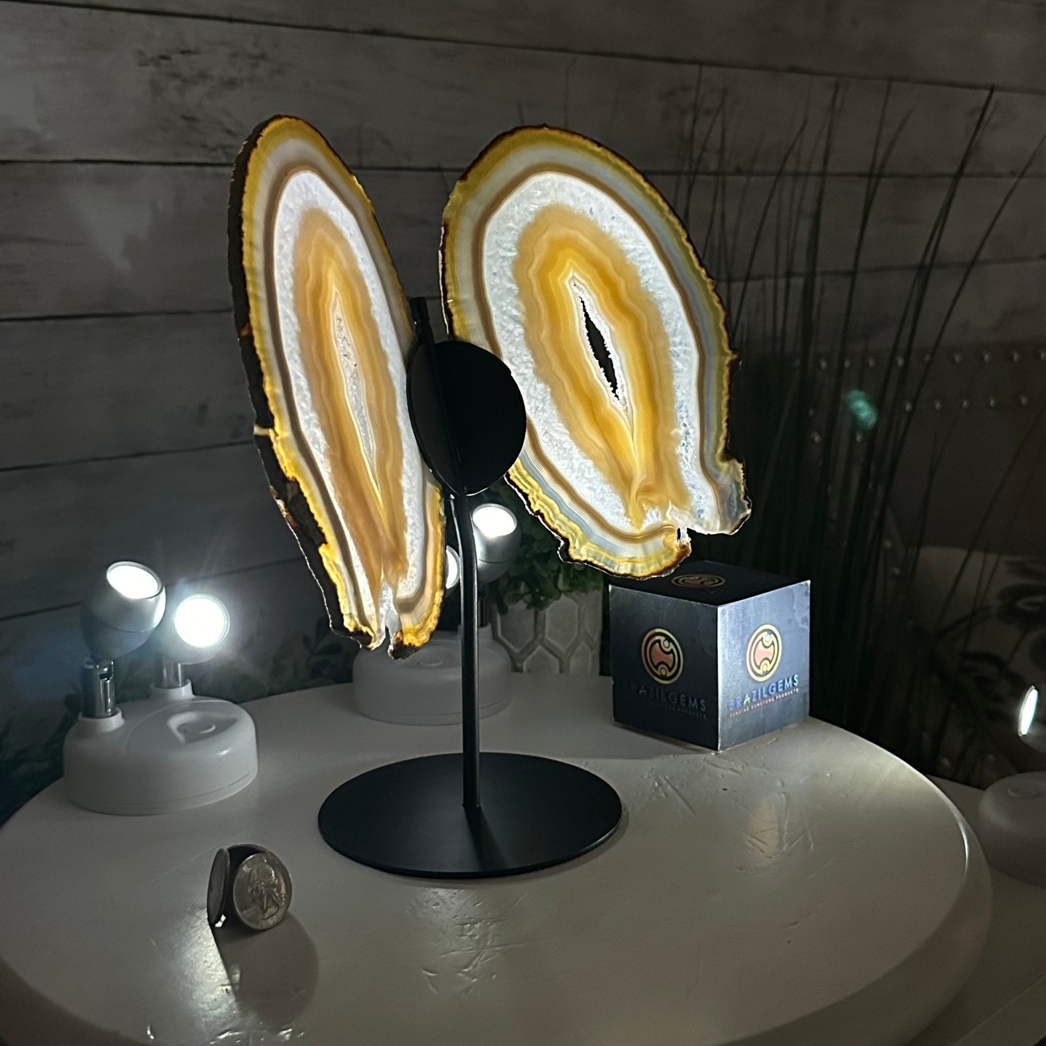 Natural Brazilian Agate "Butterfly Wings", 10.4" Tall #5050NA-118 - Brazil GemsBrazil GemsNatural Brazilian Agate "Butterfly Wings", 10.4" Tall #5050NA-118Agate Butterfly Wings5050NA-118