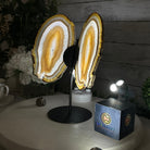 Natural Brazilian Agate "Butterfly Wings", 10.4" Tall #5050NA-118 - Brazil GemsBrazil GemsNatural Brazilian Agate "Butterfly Wings", 10.4" Tall #5050NA-118Agate Butterfly Wings5050NA-118
