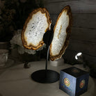 Natural Brazilian Agate "Butterfly Wings", 10.5" Tall #5050NA-126 - Brazil GemsBrazil GemsNatural Brazilian Agate "Butterfly Wings", 10.5" Tall #5050NA-126Agate Butterfly Wings5050NA-126