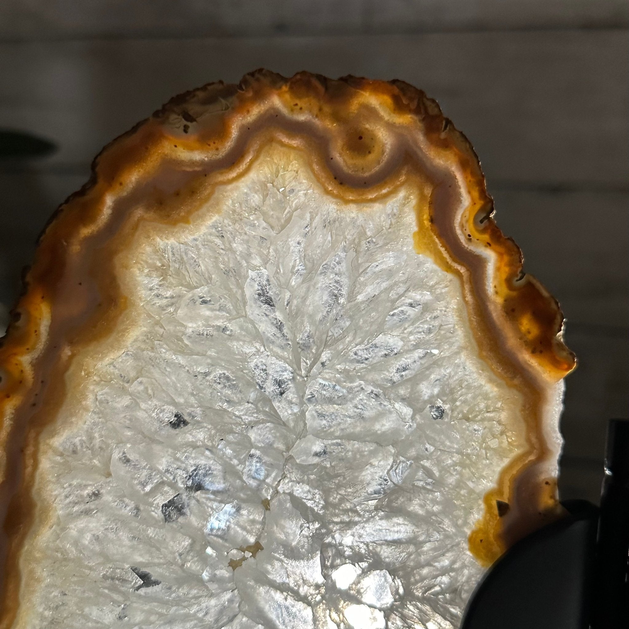 Natural Brazilian Agate "Butterfly Wings", 10.5" Tall #5050NA-126 - Brazil GemsBrazil GemsNatural Brazilian Agate "Butterfly Wings", 10.5" Tall #5050NA-126Agate Butterfly Wings5050NA-126