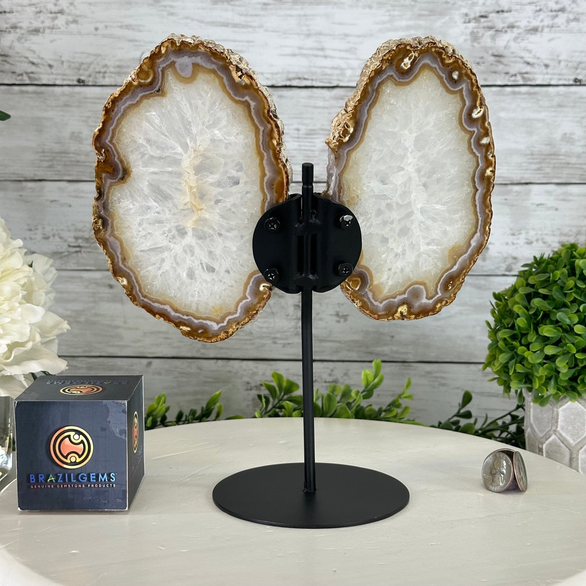 Natural Brazilian Agate "Butterfly Wings", 10.5" Tall #5050NA-126 - Brazil GemsBrazil GemsNatural Brazilian Agate "Butterfly Wings", 10.5" Tall #5050NA-126Agate Butterfly Wings5050NA-126
