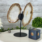 Natural Brazilian Agate "Butterfly Wings", 10.5" Tall #5050NA-126 - Brazil GemsBrazil GemsNatural Brazilian Agate "Butterfly Wings", 10.5" Tall #5050NA-126Agate Butterfly Wings5050NA-126