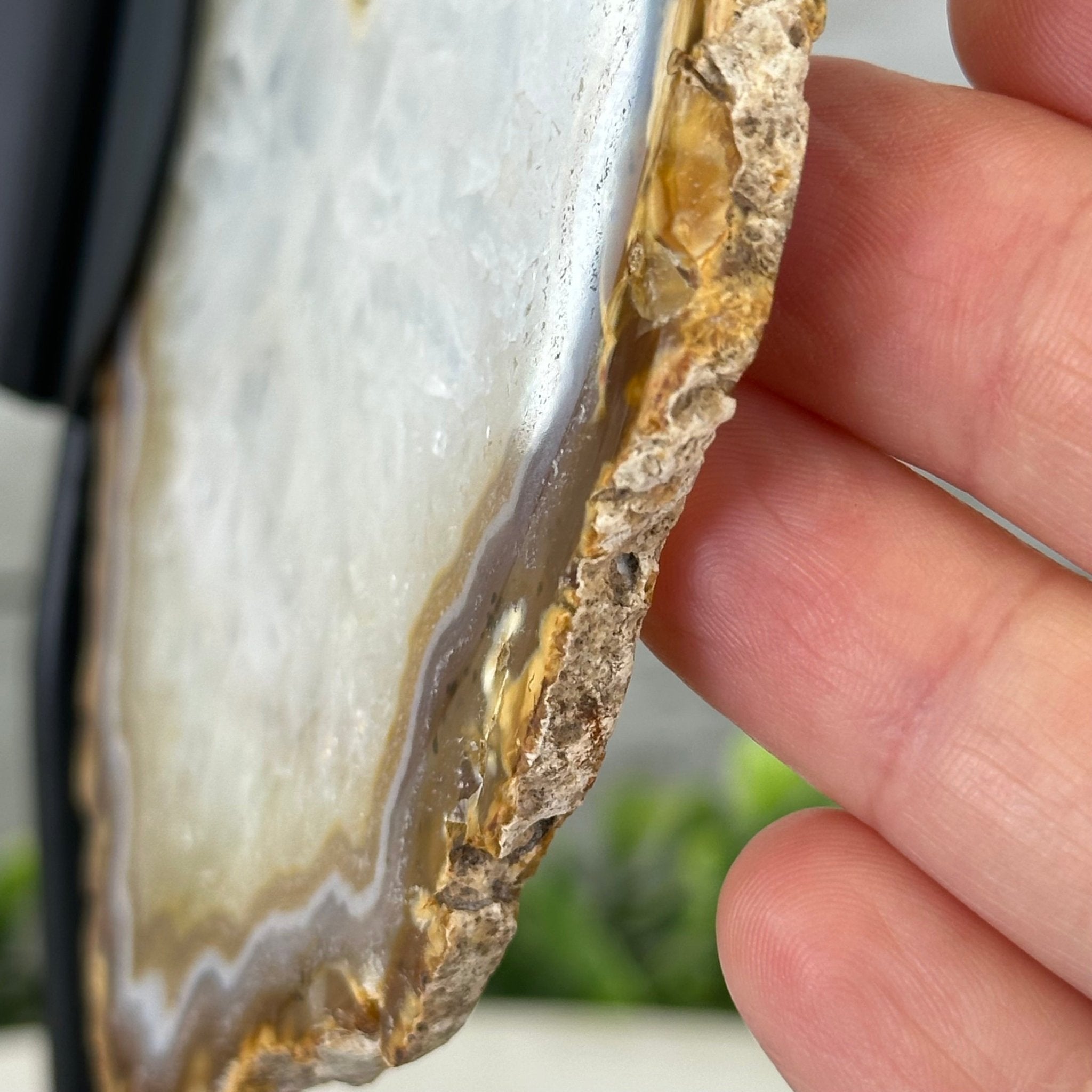 Natural Brazilian Agate "Butterfly Wings", 10.5" Tall #5050NA-126 - Brazil GemsBrazil GemsNatural Brazilian Agate "Butterfly Wings", 10.5" Tall #5050NA-126Agate Butterfly Wings5050NA-126