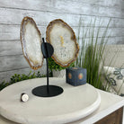 Natural Brazilian Agate "Butterfly Wings", 10.5" Tall #5050NA-126 - Brazil GemsBrazil GemsNatural Brazilian Agate "Butterfly Wings", 10.5" Tall #5050NA-126Agate Butterfly Wings5050NA-126